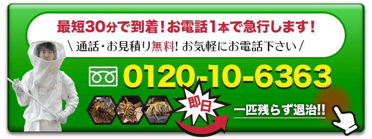 お電話でのお申し込みは、0120-10-6363 にて受付中です