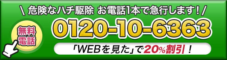 お電話1本ですぐ駆除に伺います!